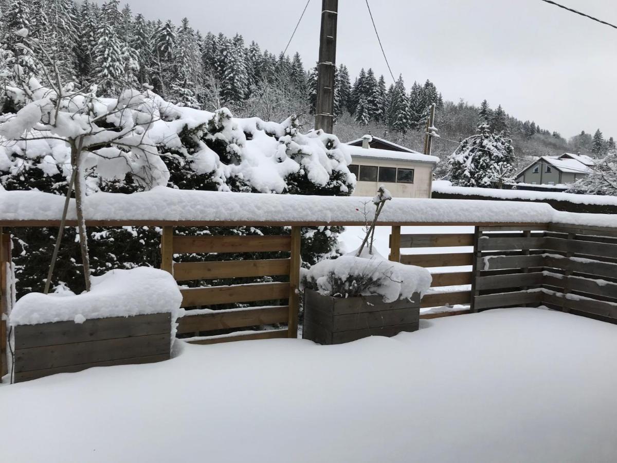Le Grand Sapin. Maison Au Calme Proche Commerces Gérardmer Buitenkant foto